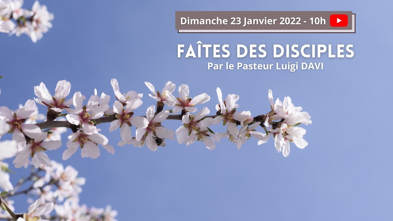Faîtes des disciples