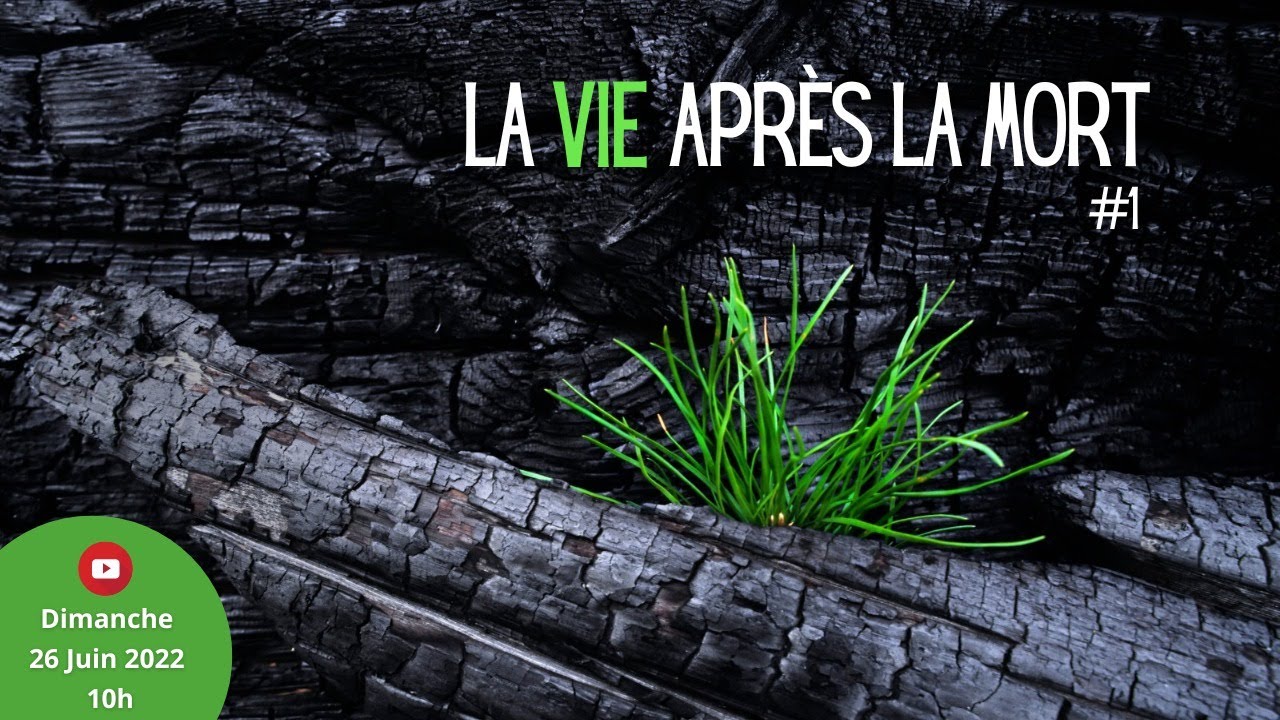 La vie après la mort #1