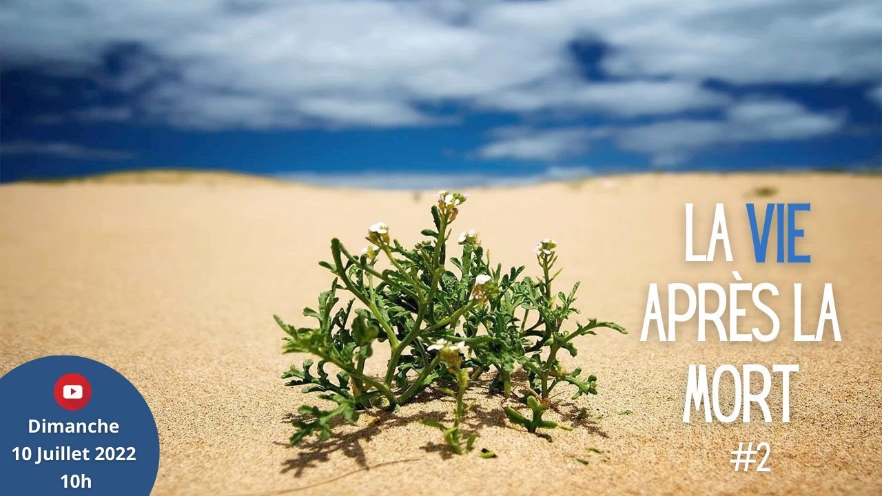 La vie après la mort #2