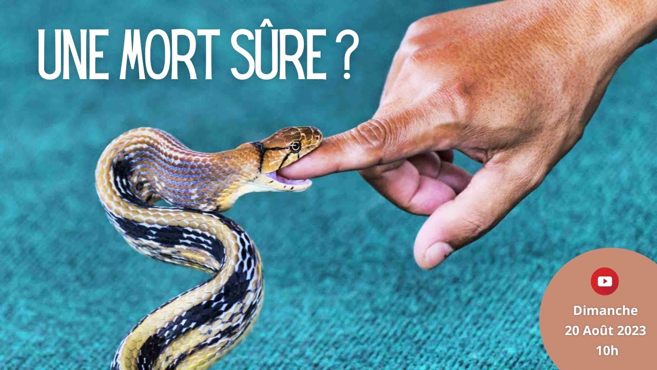 Une mort sûre ?