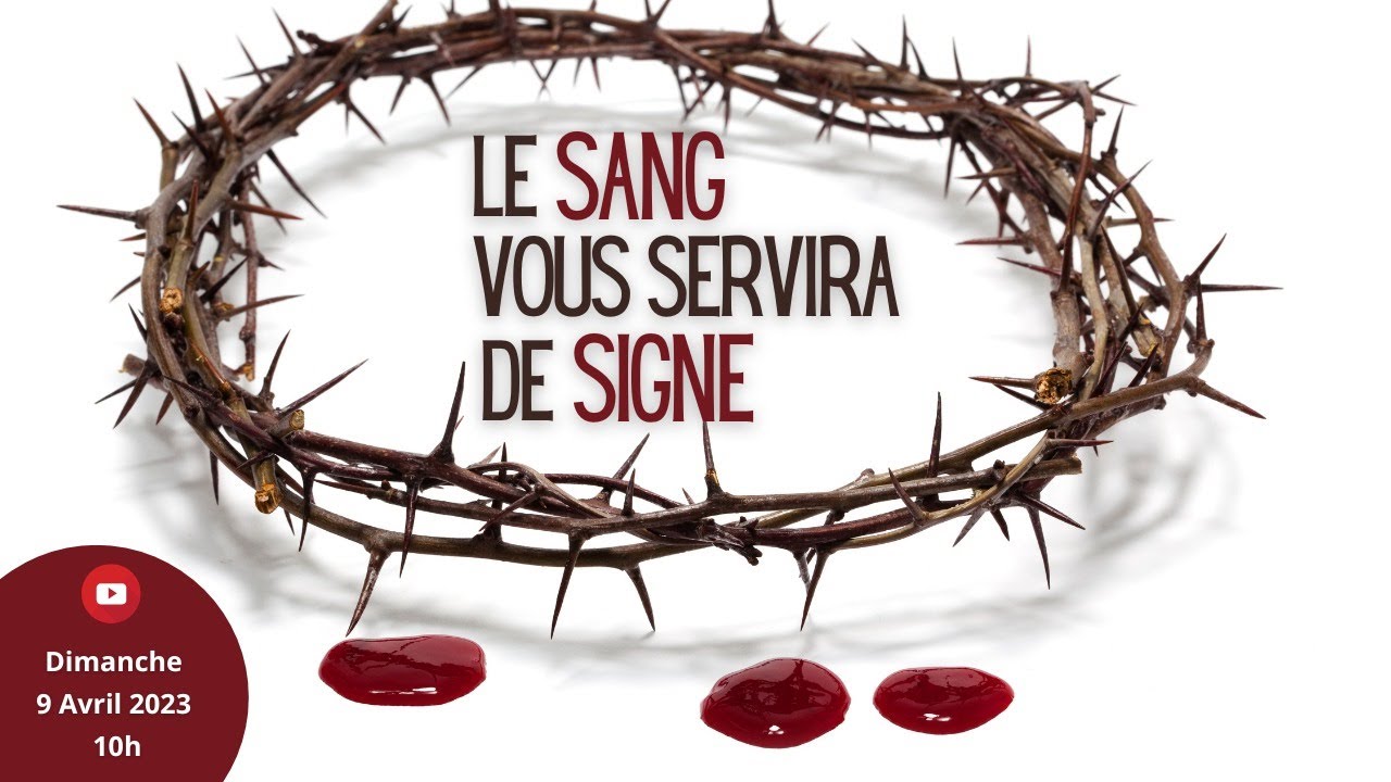 Le sang vous servira de signe