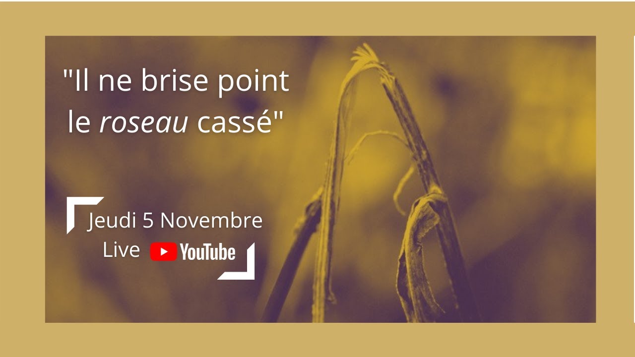 Il ne brise pas